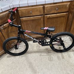 Redline Roam Bike