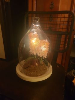 GLASS BELL JAR