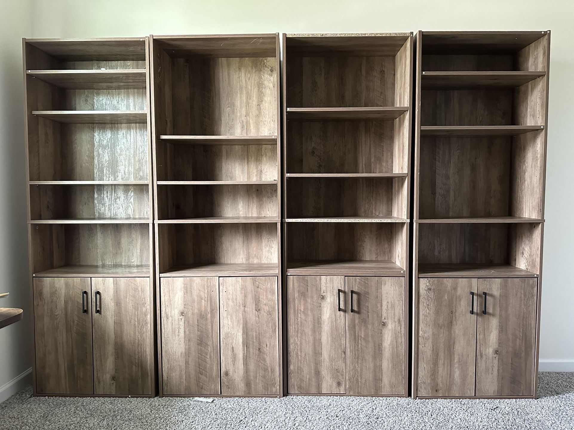 5 Case Book Shelf With Door- Only 1 Left