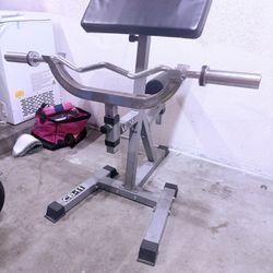 Preacher Curl With Ez Bar