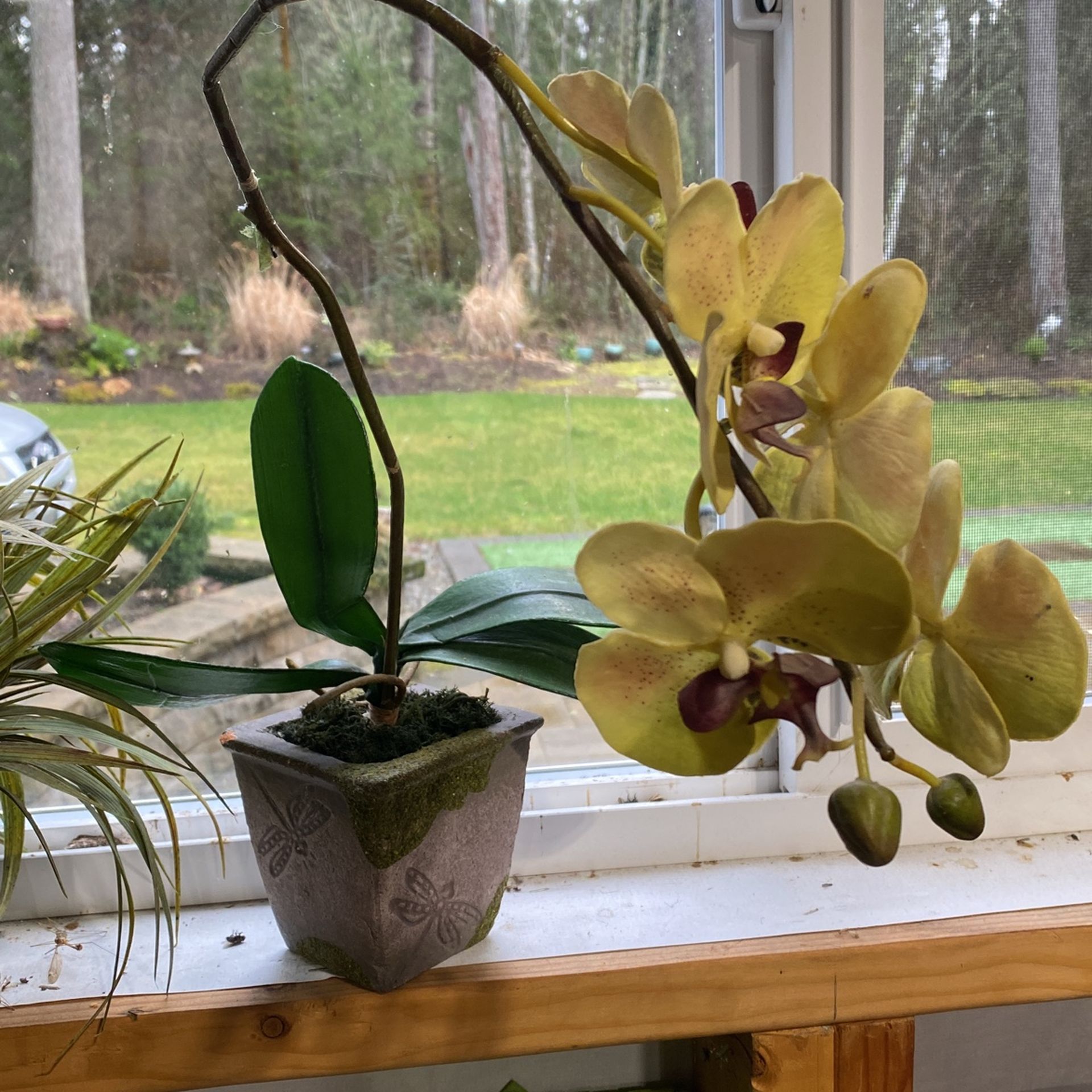 Fake Plants