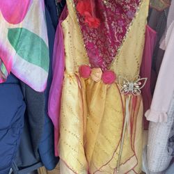 Fairy Girl Costume 