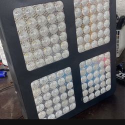 Grow Light