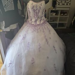 Vestido De 15 An̈os / Sweet 15s Dress