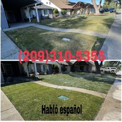 New Sod $2 sqf Included Ground Prep, Sod And Installation