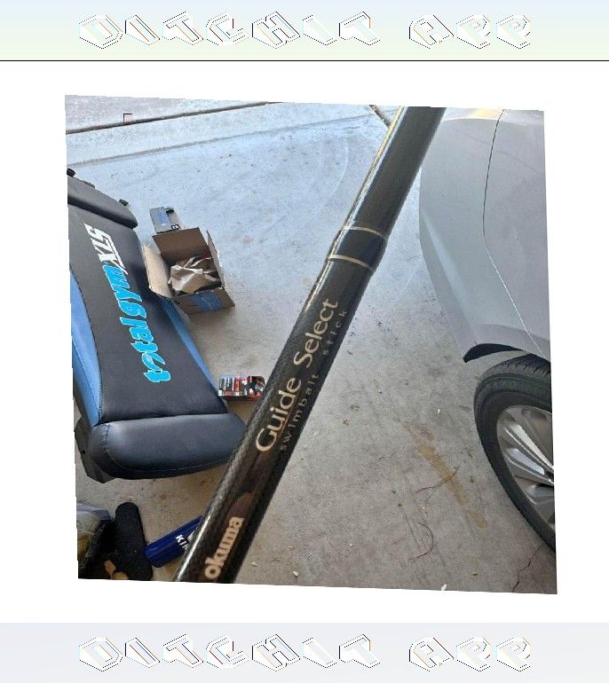 Swimbait Fishing Rod Excellent for Fishing Fans someone cultural