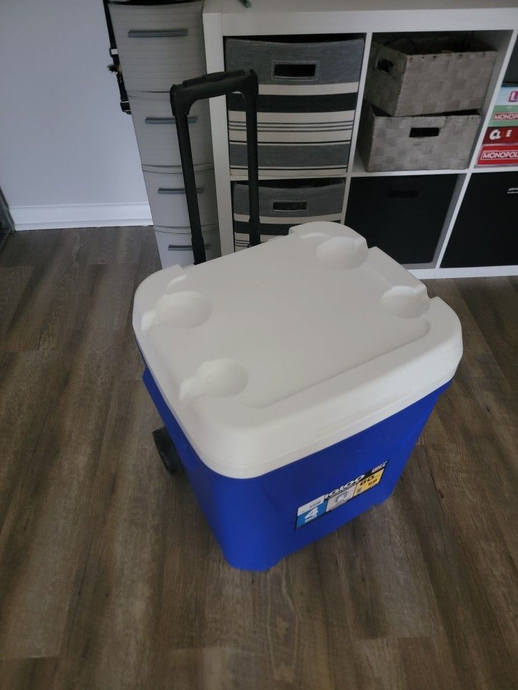 Coleman Cooler