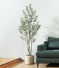 Artificial Olive Trees, 6 ft Tall Fake Olive Trees for Indoor
Faux Olive Silk Tree with White Planter,Large Olive Plants for Home Decor and Housewarmi