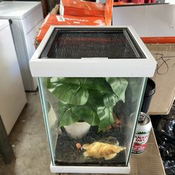 square aquarium for sale