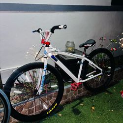 SE BIKE BIG FLYER 29