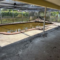 Pool Screen Enclosure removal