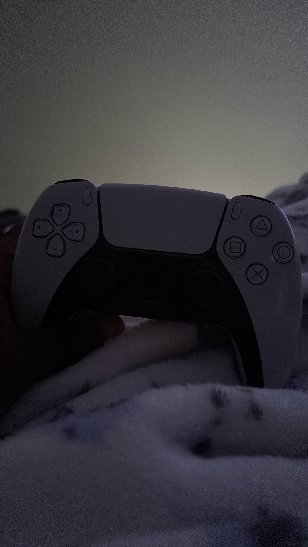 Ps5 Controller