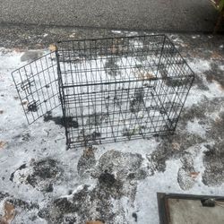 Dog Cage 