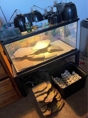 Reptile Tanks And Supplies