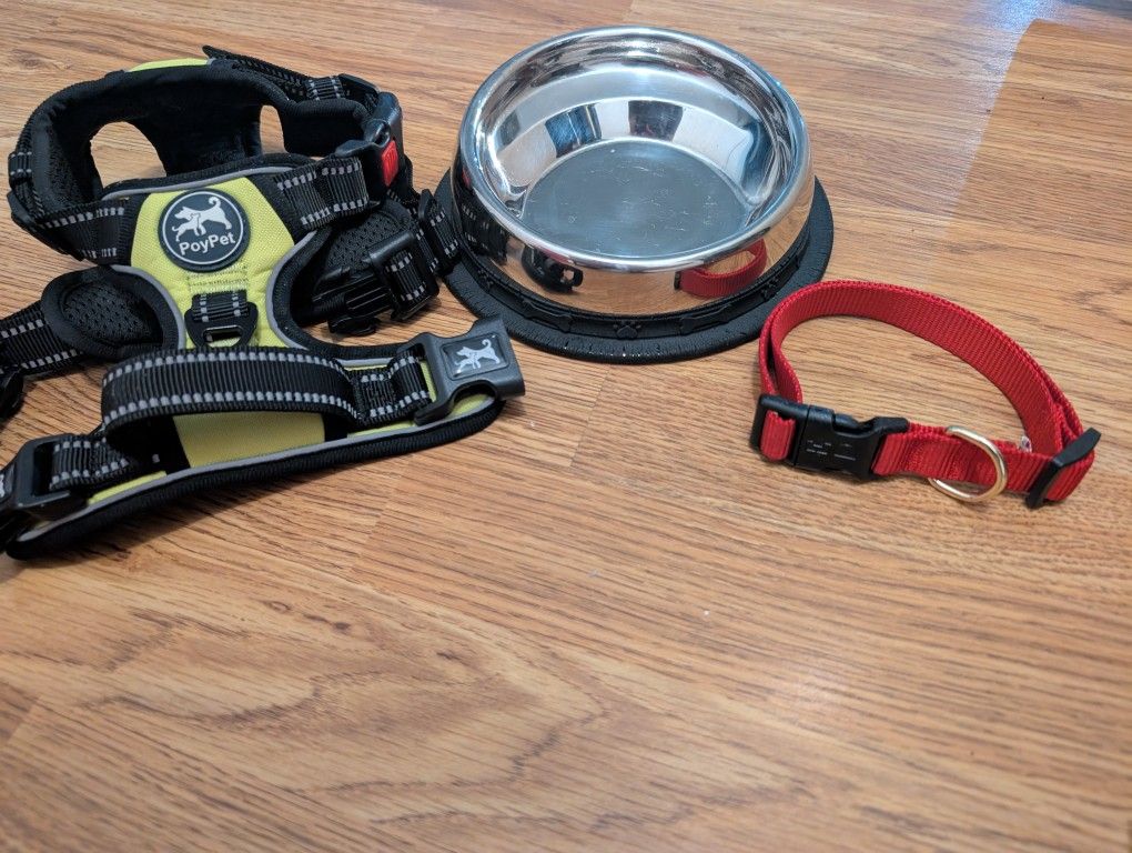 Dog Bowl And Leashes
