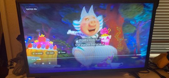 Large Flat Screen TV