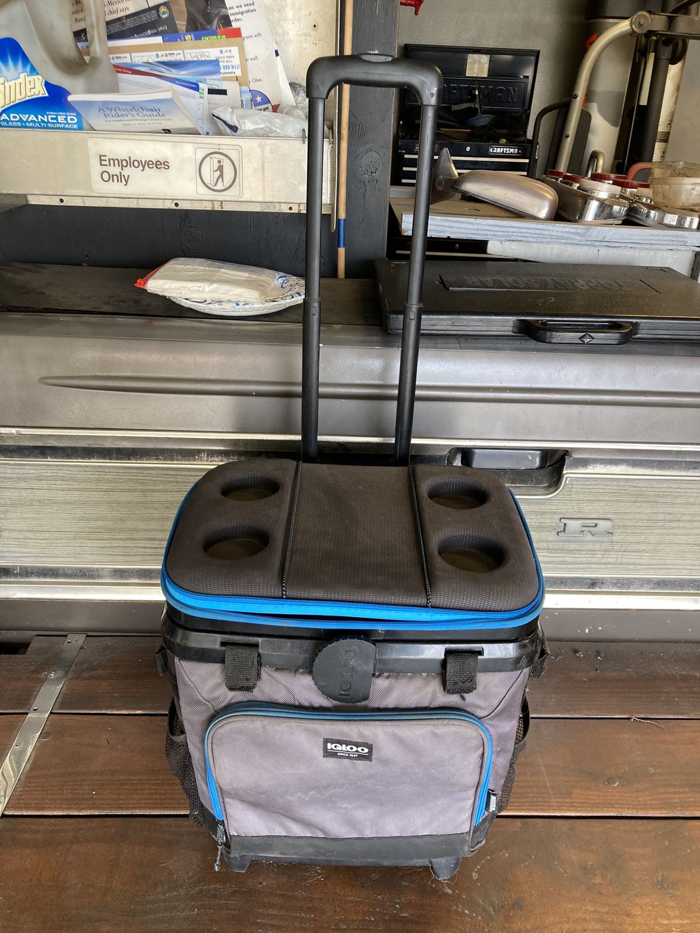 Igloo cooler on wheels with two ice packs.