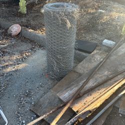 Galvanized Chicken Wire