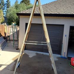 Husky 10 ft. Ladder with delivery