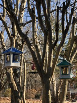 Handpainted birdfeeders