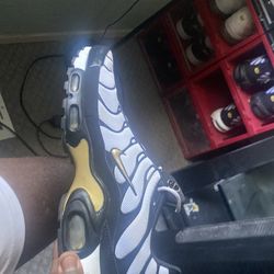 Nike air max plus