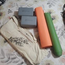 Yoga Bag By Gaiam! Bag With 2 Yoga Mats and 2 yoga bricks 