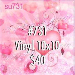 Backdrop en Vinyl para Estudio Fotográfico