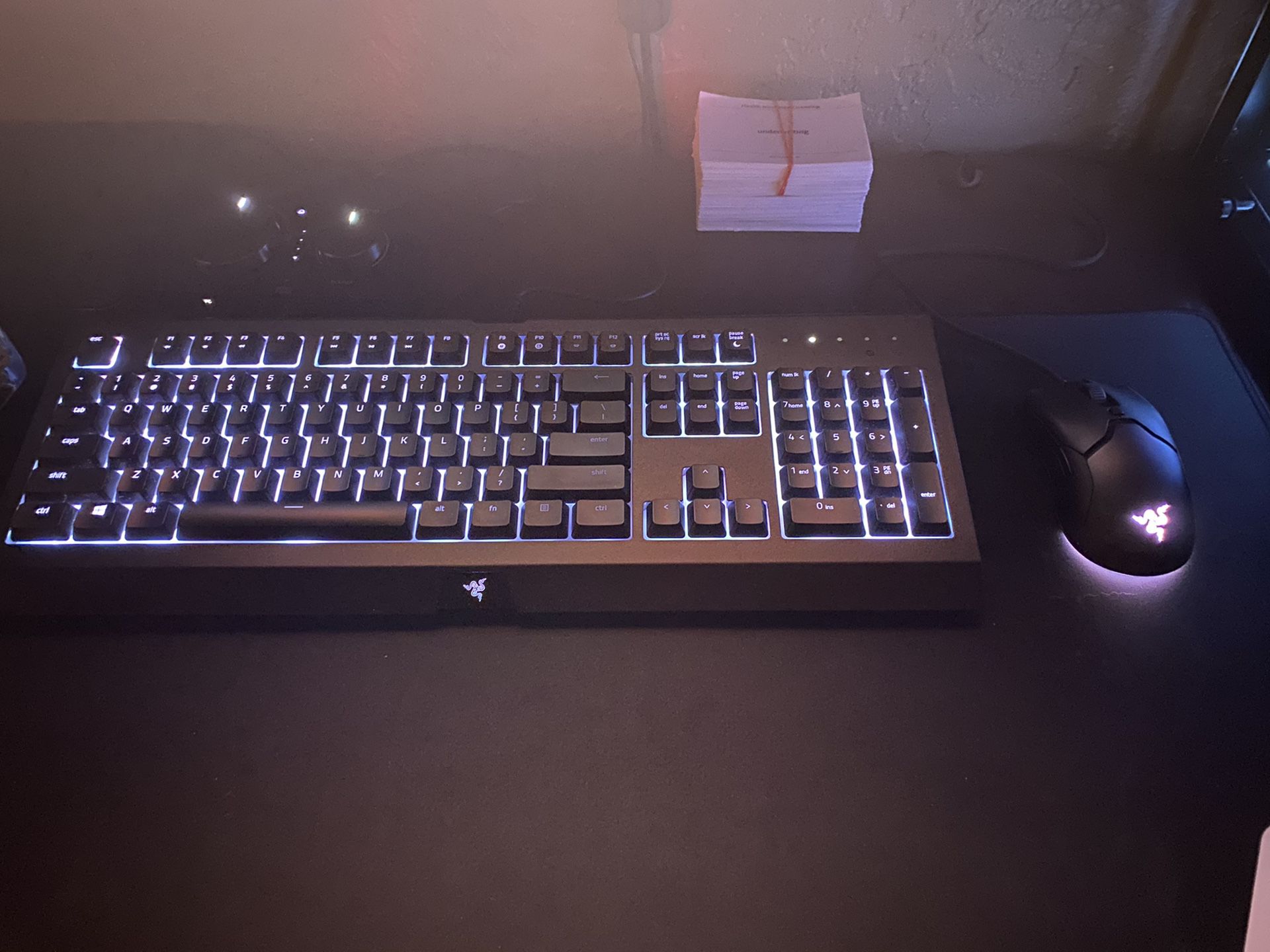 Razer Cynosa Keyboard and Mini Ultralight Mouse