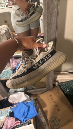 Yeezy 350
