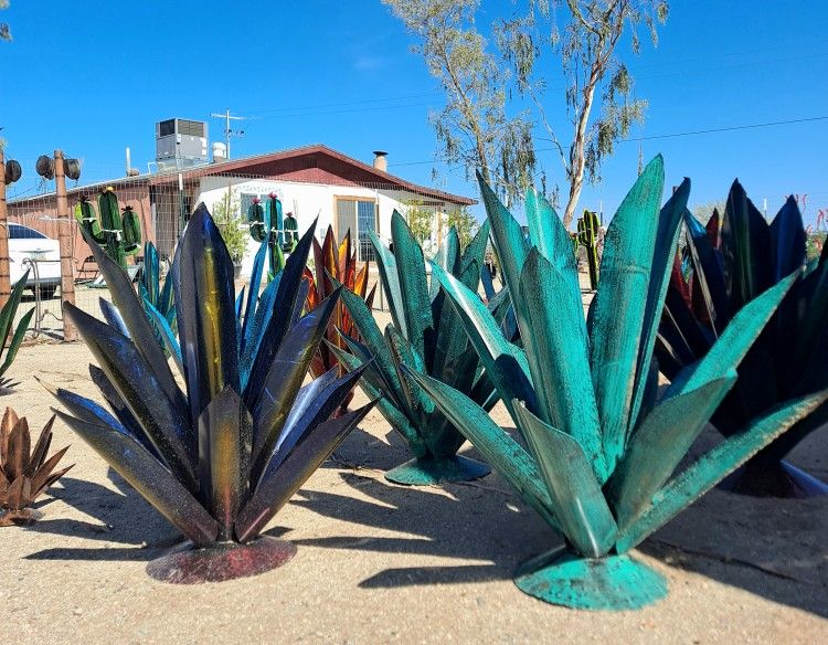 🔥new cactus 🌵✨ bright colors & rustic vibes + POTTERY 🪴