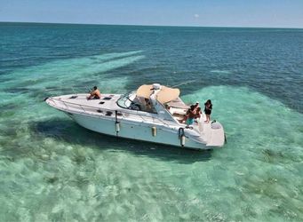 45’ Boat Party | Catering included and more
