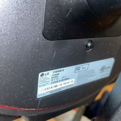 LG Gaming Monitor 