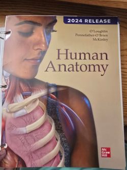 Human Anatomy