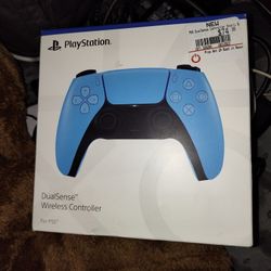 PlayStation 5 Controller