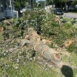Free Fire Wood 