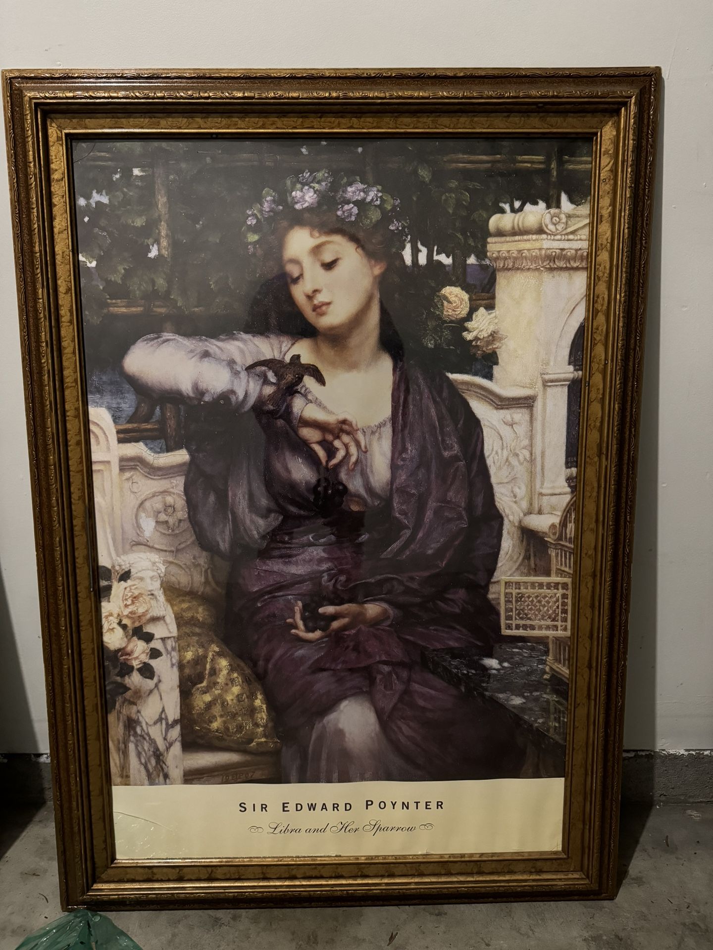 『Danse des Dauphins, 1989』 Bob Talbot Danse des Dauphins, 1989』 Bob Talbot Danse des Dauphins, 1989 by