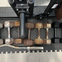 Dumbbell Weights 