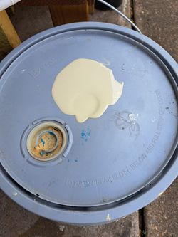 Semigloss Water Base Interior Paint  5 Gallons  Good Condition Beige Color 