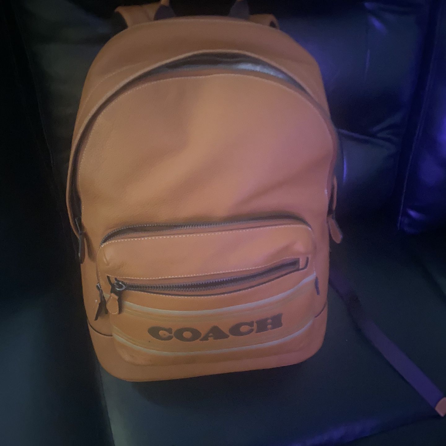 Coach Striped Book Bag 