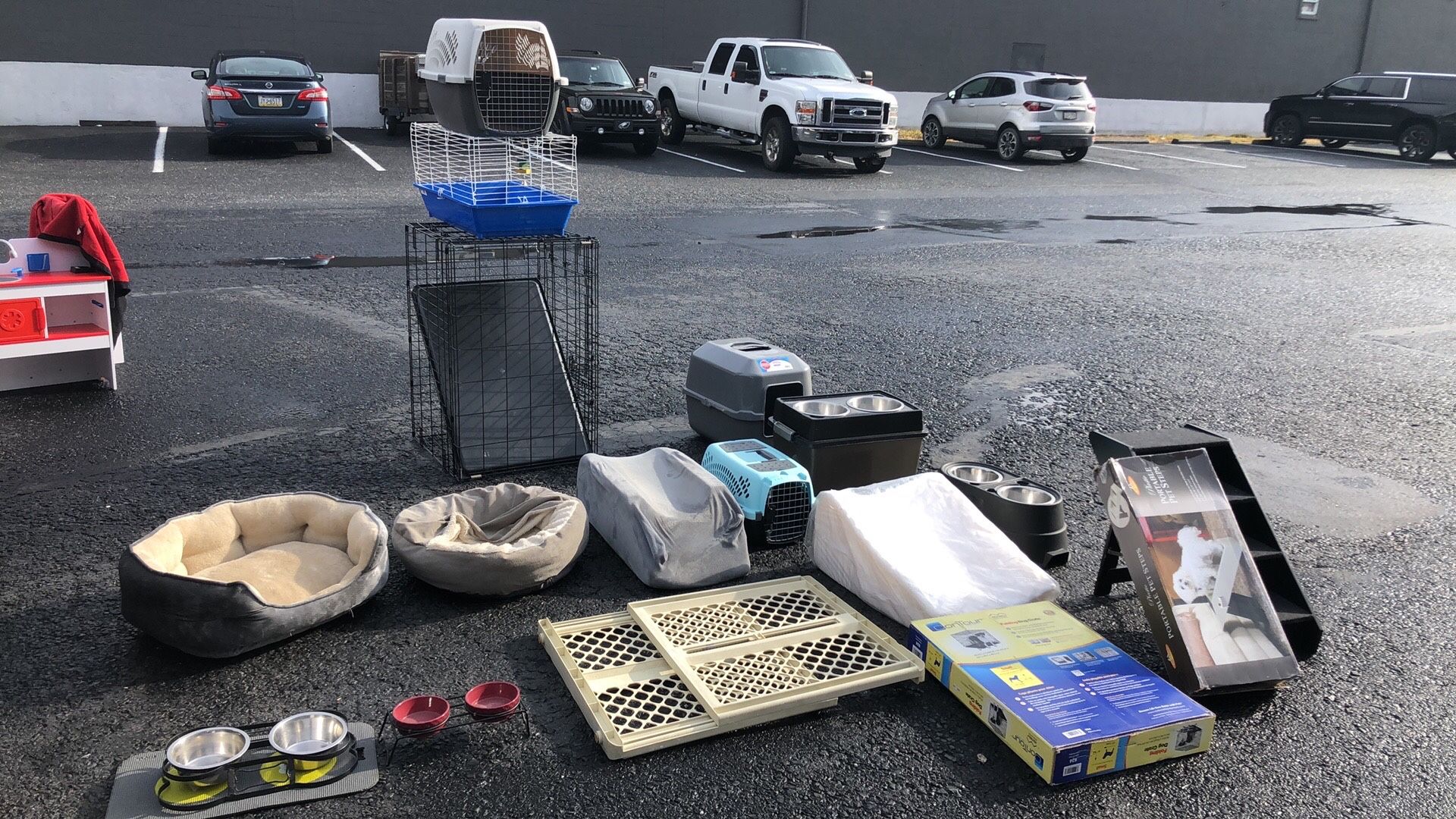 Pet supply whatever you need for your cat and dog 1701 Union Blvd. Allentown PA 18109