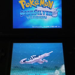 DS Hacked Cartridge POKEMON MARIO Kart Donkey Kong METAL SLUG 7 Zelda & More