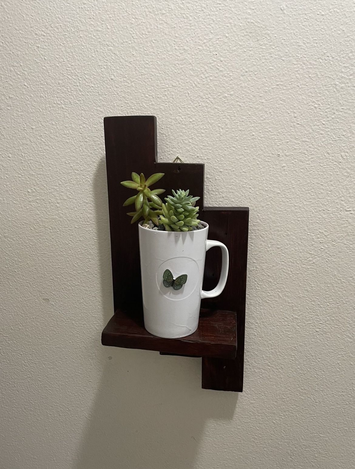 Natural Succulents with a Shelf