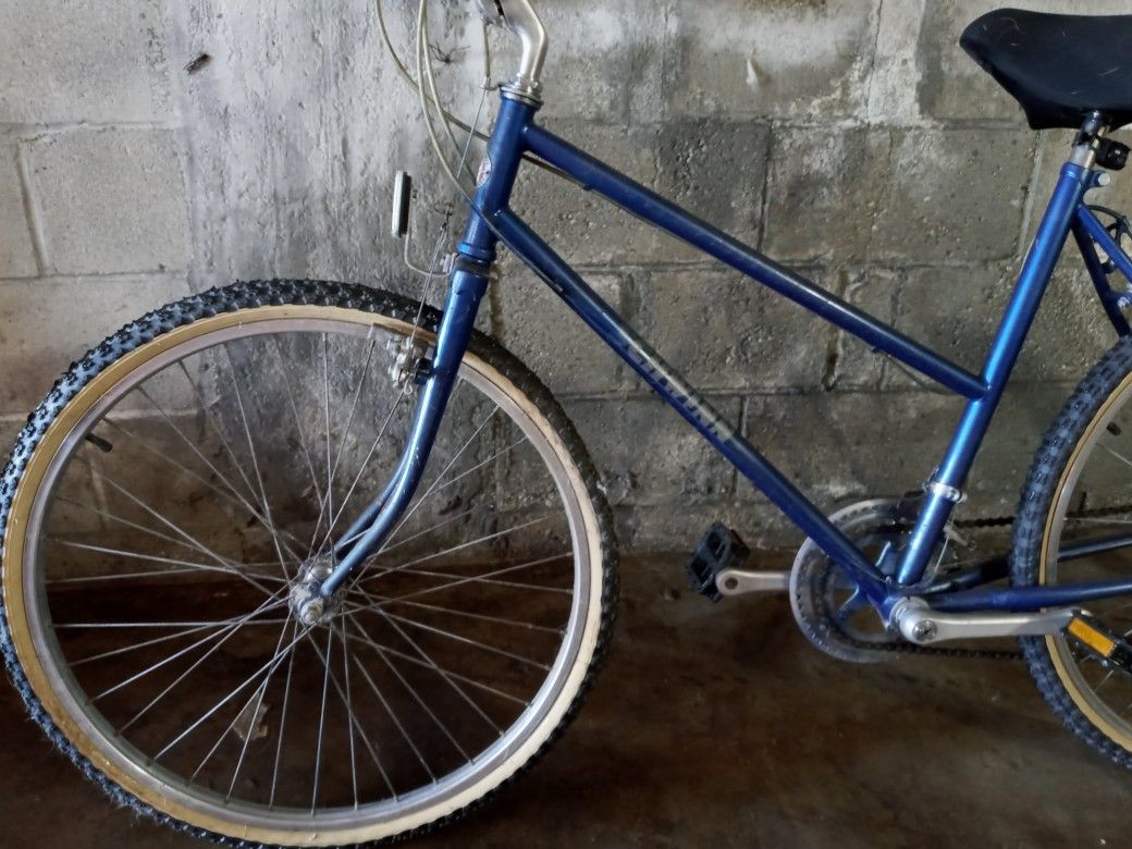 Shwin bike