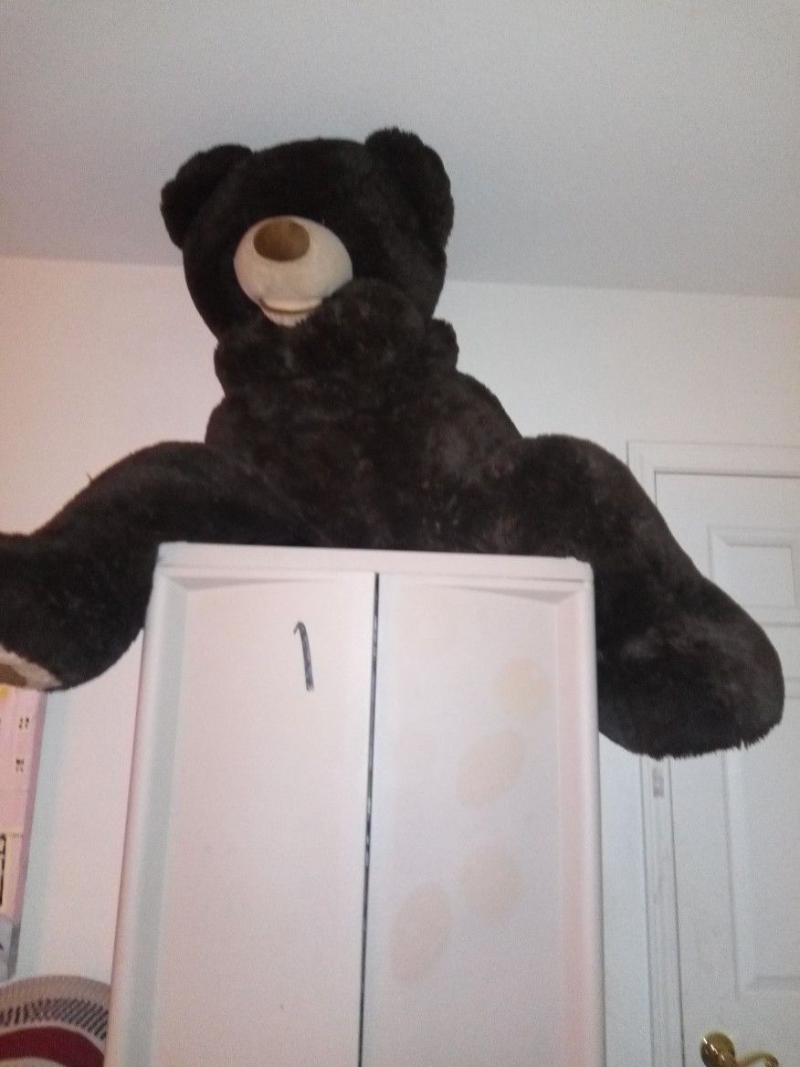Very Big Teddy Bear