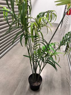 Tall Indoor Palm Plant Decor plant, not real