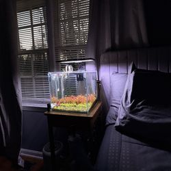 Fish Tanks 6 Cube Rimless & 35 gallon