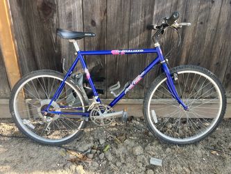 Tall specialized hard rock bike