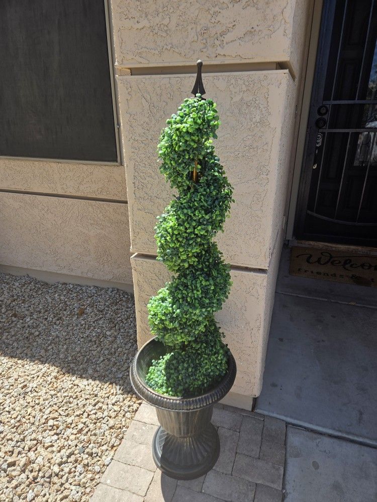 SPIRAL TOPIARY TREES