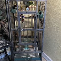 Bird Cage 