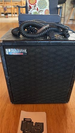 Polytone mini brute amplifier